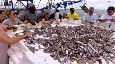 Top Chef — s14e10 — Shrimp Boats and Hat Ladies