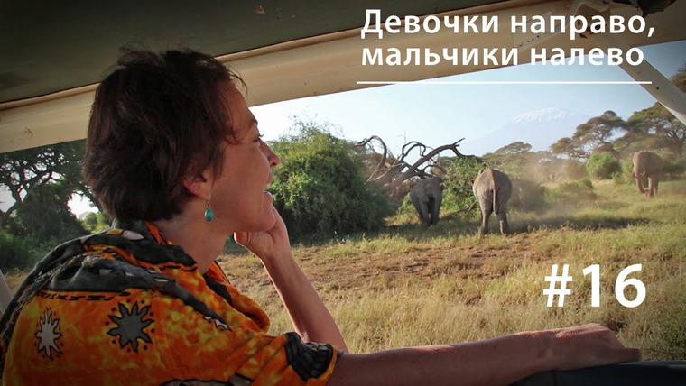 Всё как у зверей — s02e05 — ВКУЗ #16. Девочки направо, мальчики налево: планирование семьи у африканских слонов