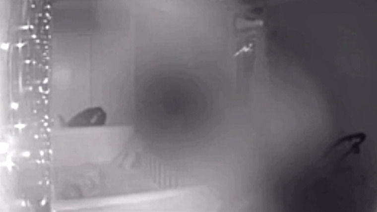 Paranormal Caught on Camera — s05e15 — Haunted Tennessee Crypt and More