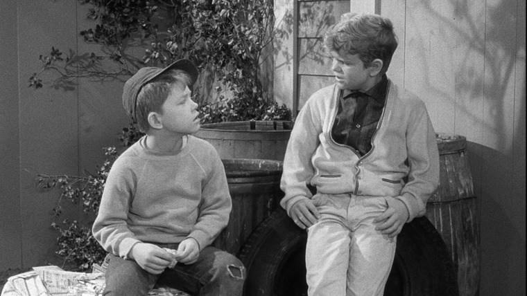 The Andy Griffith Show — s03e21 — Opie and the Spoiled Kid