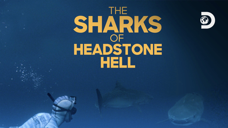 Shark Week — s2019e06 — The Sharks of Headstone Hell