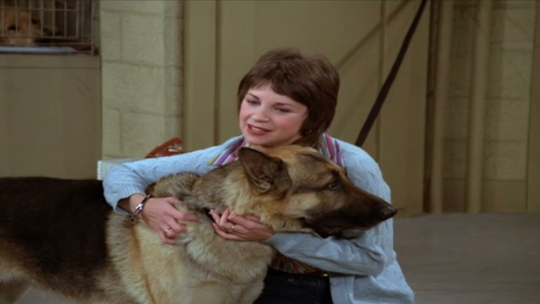 Laverne & Shirley — s04e13 — It's a Dog's Life