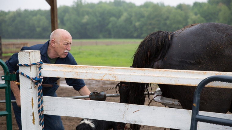 The Incredible Dr. Pol — s04e05 — Dog Dazed Afternoon
