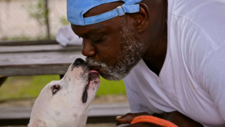 Pit Bulls & Parolees — s18e02 — Life in a Cage