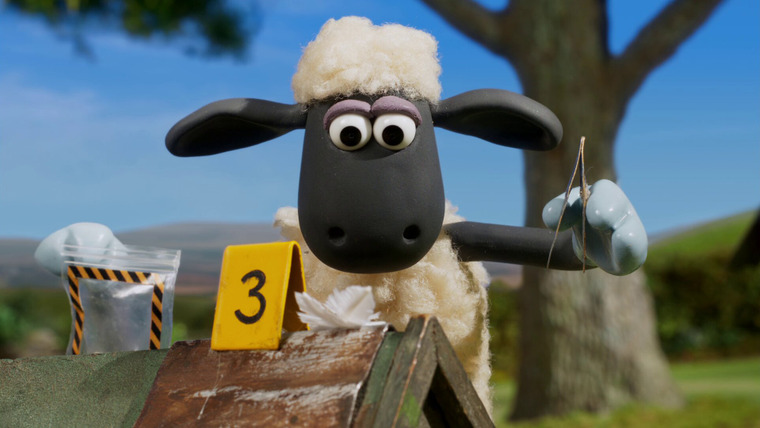 Shaun the Sheep: Adventures from Mossy Bottom — s01e06 — CSI Mossy