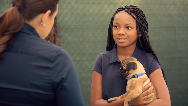 Puppy Place — s01e05 — Pugsley