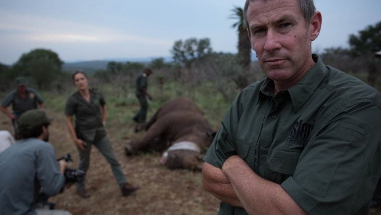Carter's W.A.R. (Wild Animal Response) — s01e01 — Rhino Wars