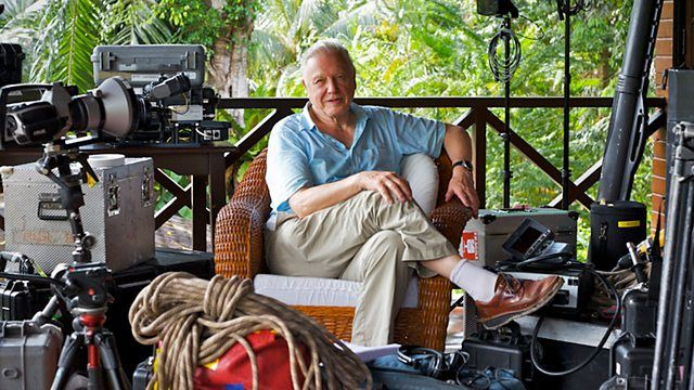 Attenborough: 60 Years in the Wild — s01e01 — Life on Camera