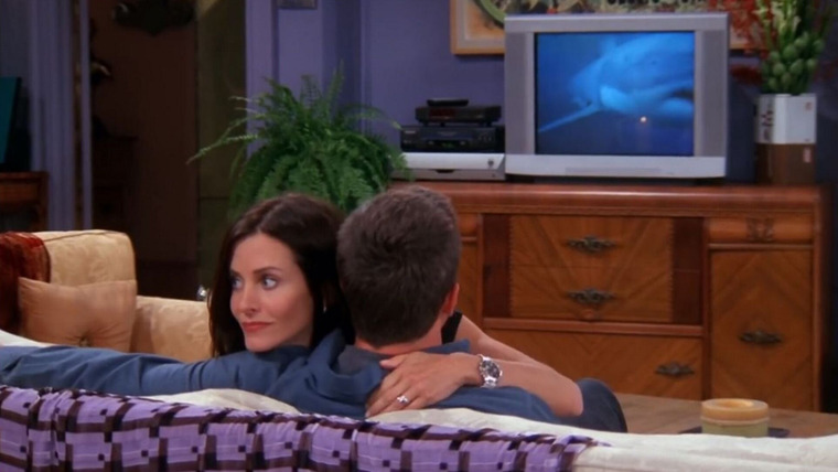 Friends — s09e04 — The One With the Sharks