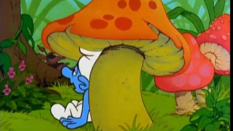 Смурфики — s07e18 — Sassette's Bewitching Friendship