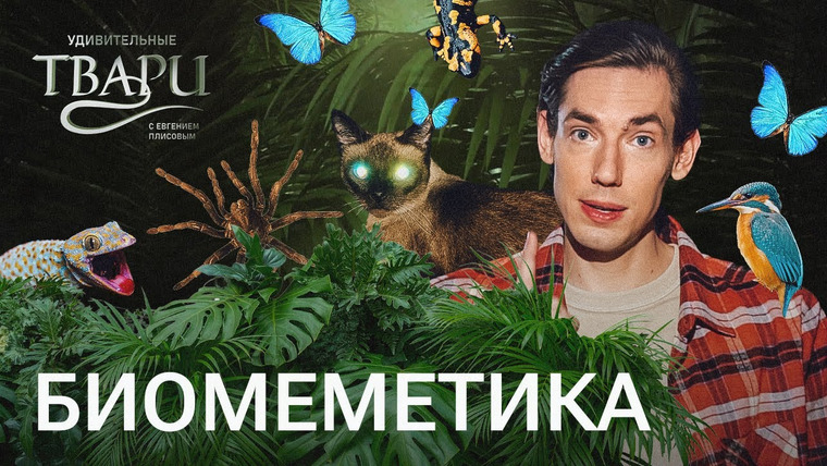Удивительные твари — s02e08 — Какие идеи современная наука и инженерия берет из живой природы? // Удивительные твари