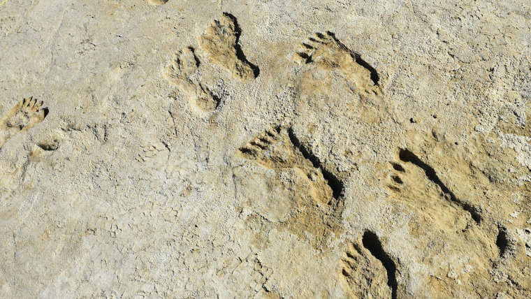 Новая звезда — s49e14 — Ice Age Footprints
