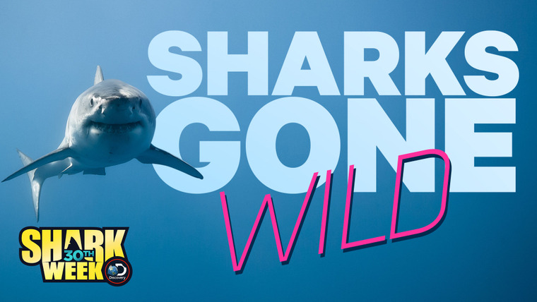 Shark Week — s2018e22 — Sharks Gone Wild