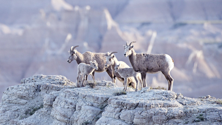America's National Parks — s01e04 — Badlands