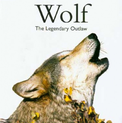 Живая природа: Специальные выпуски — s01e07 — Wolf: The Legendary Outlaw