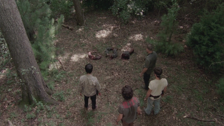 The Walking Dead — s03e06 — Hounded