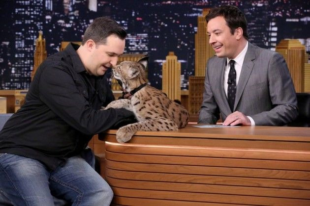 The Tonight Show Starring Jimmy Fallon — s2015e06 — Charlie Day, Jeff Musial, Little River Band