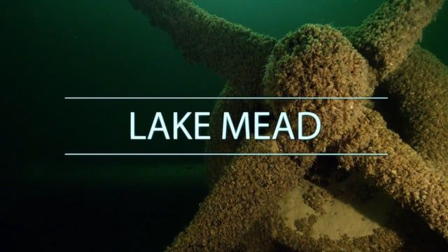 Underwater Wonders of the National Parks — s01e06 — Lake Mead