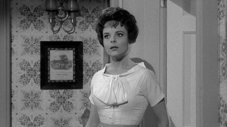 Перри Мэйсон — s04e26 — Erle Stanley Gardner's The Case of the Duplicate Daughter