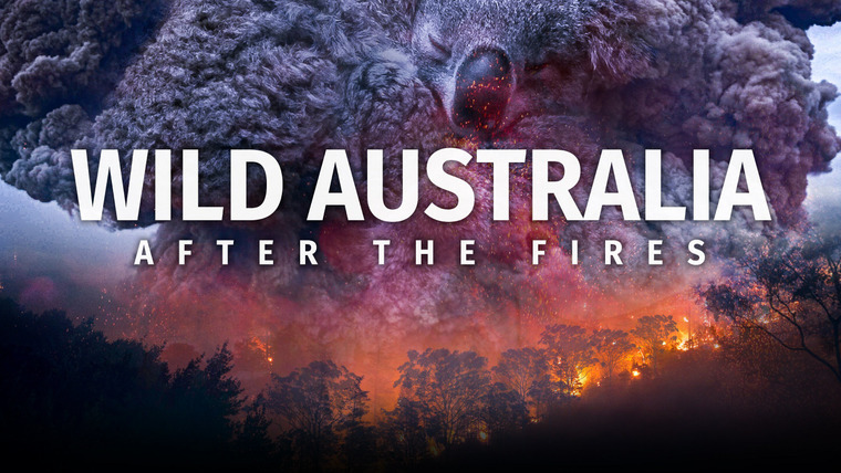 The Nature of Things with David Suzuki — s60e03 — Wild Australia: After the Fires