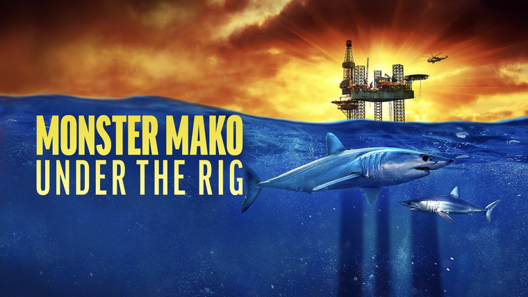 Shark Week — s2022e15 — Monster Mako Under the Rig