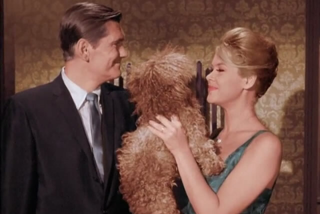 Bewitched — s01e03 — It Shouldn't Happen to a Dog