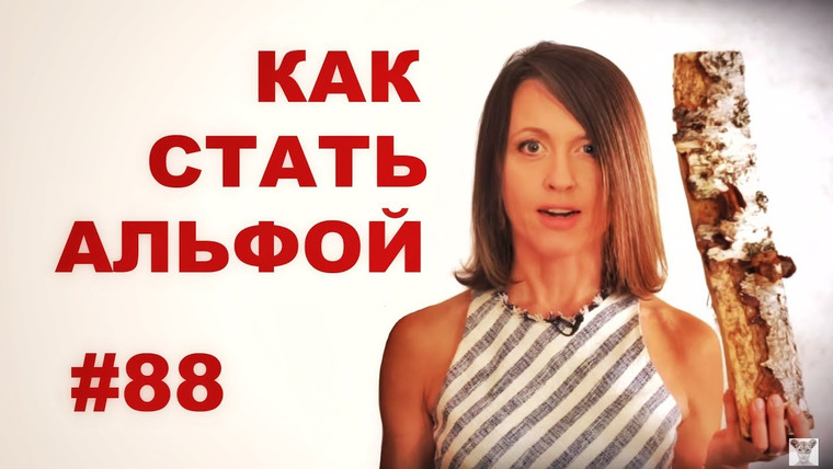Всё как у зверей — s06e10 — ВКУЗ #88. Как стать альфой? (если тебе это надо)
