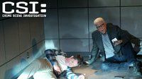 CSI: Crime Scene Investigation — s14e19 — The Fallen