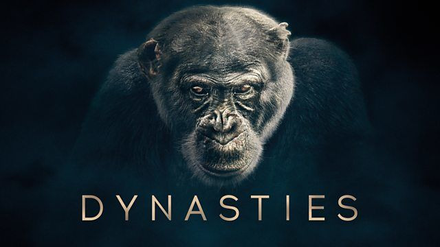 Dynasties — s01e01 — Chimpanzee