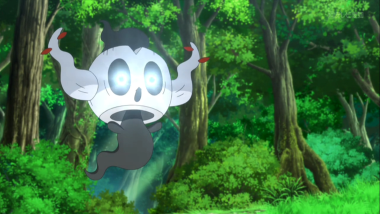 Pocket Monsters — s11e24 — The Forest's Curse and the White Bokurei!
