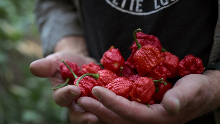 Superhot: The Spicy World of Pepper People — s01e10 — And the Hottest Pepper is…