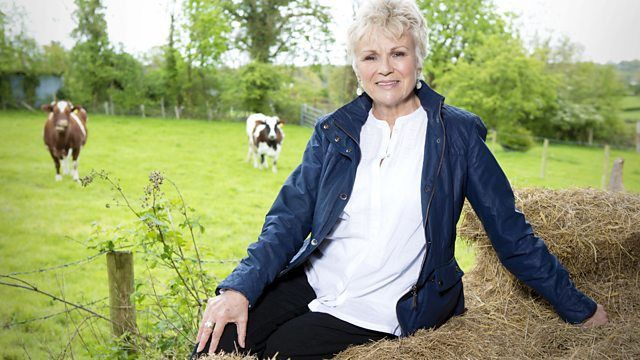 Кто ты такой? — s11e01 — Julie Walters