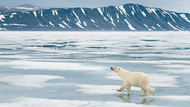Нетронутые уголки дикой природы — s01e06 — Svalbard