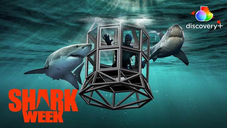 Shark Week — s2022e14 — Shark House