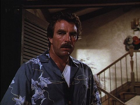 Magnum, P.I. — s06e17 — Way of the Stalking Horse