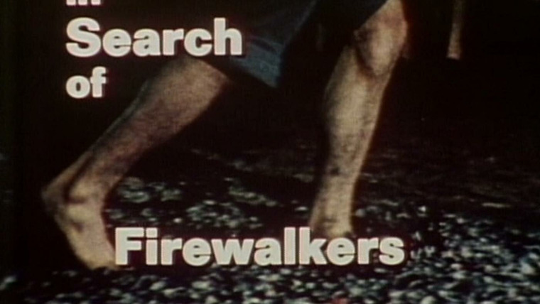 В поисках... — s02e03 — Firewalkers