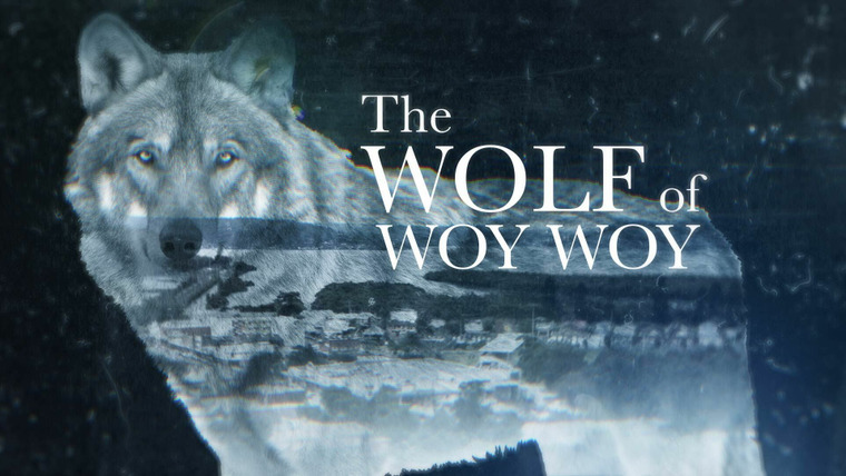 Four Corners — s2022e29 — The Wolf of Woy Woy