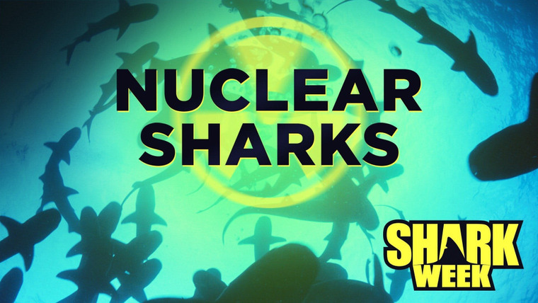 Shark Week — s2016e11 — Nuclear Sharks
