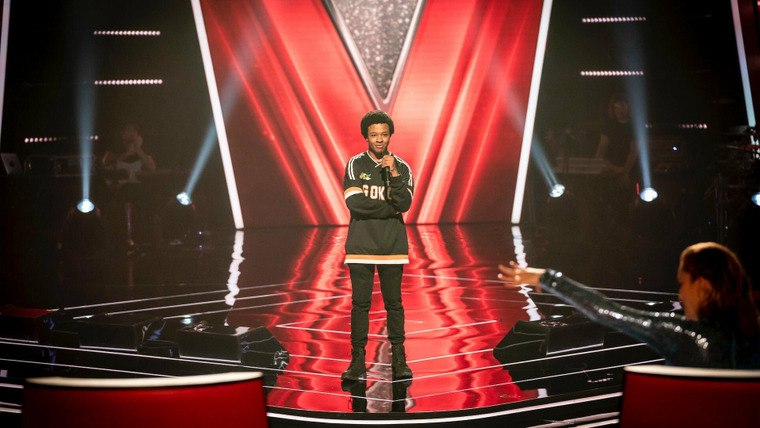 The Voice — s10e08 — Blind Auditions 8