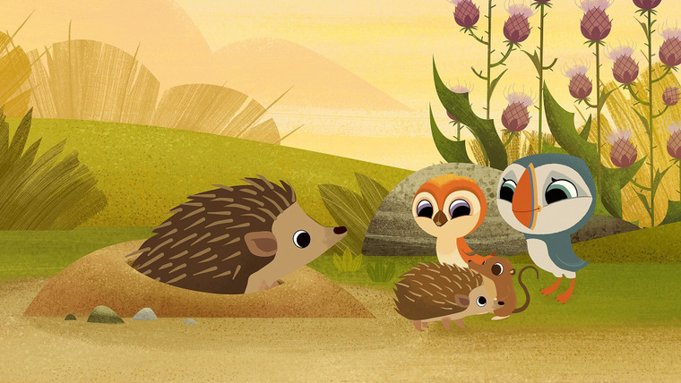 Puffin Rock — s03e11 — Spiky Sitting