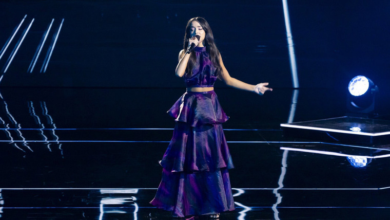 Голос Австралии — s14e13 — The Knockouts 1
