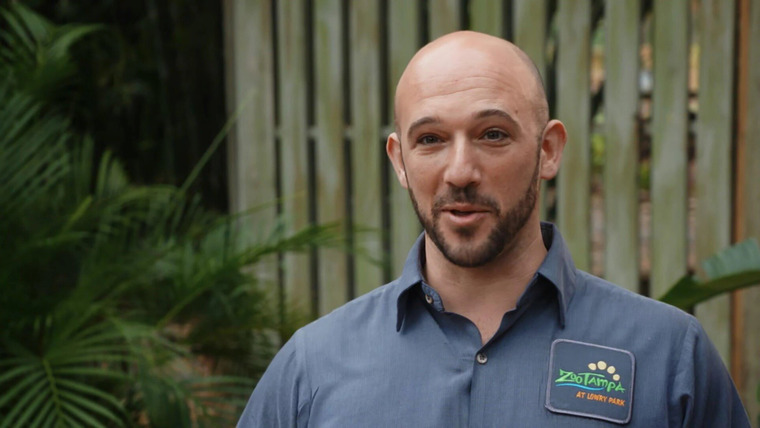 Secrets of the Zoo: Tampa — s02e04 — Iguana Be Your Friend