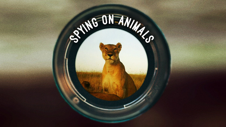 The Nature of Things with David Suzuki — s58e07 — Spying on Animals