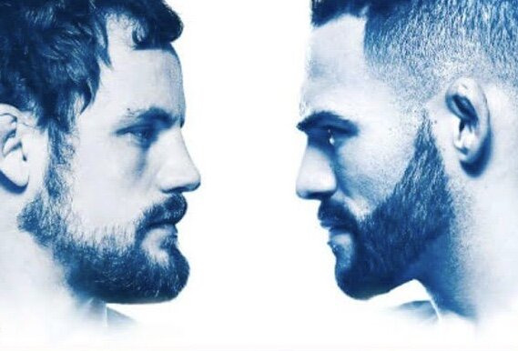 UFC Fight Night — s2017e13 — UFC Fight Night 113: Nelson vs. Ponzinibbio