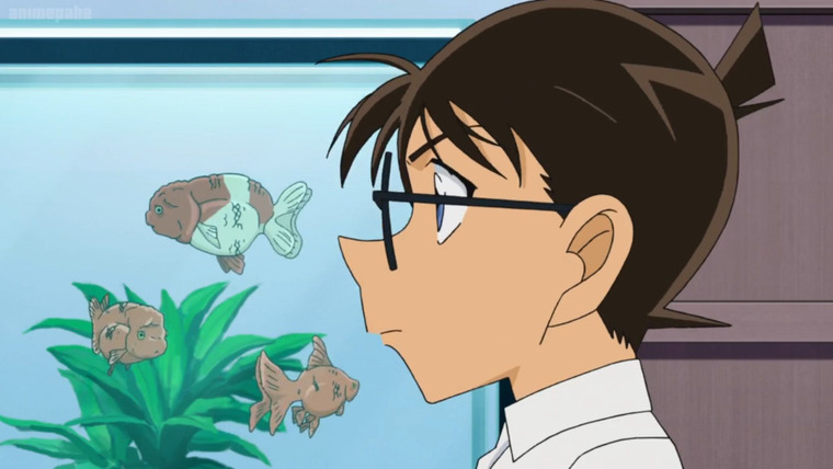 Детектив Конан — s2020e13 — The Broken Fishbowl