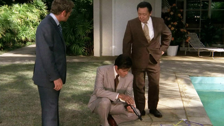Отдел 5-O — s04e19 — While You're at It, Bring in the Moon