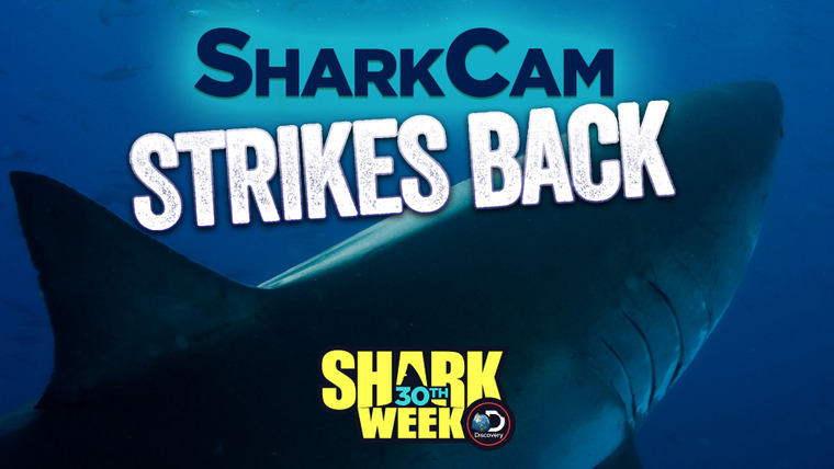 Shark Week — s2018e14 — SharkCam Strikes Back