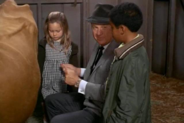 Зеленые просторы — s06e01 — The City Kids
