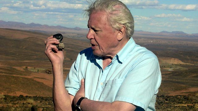 David Attenborough's First Life — s01e01 — Arrival