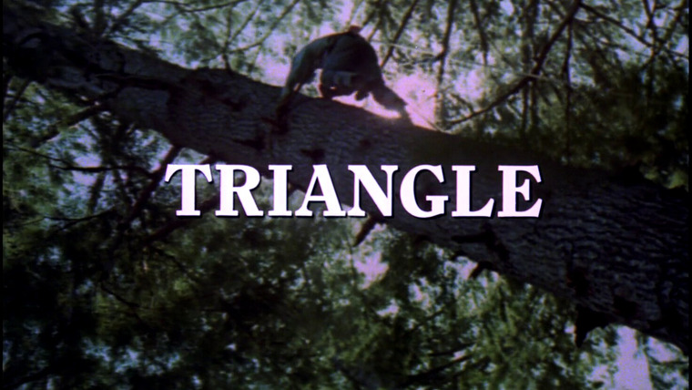 Невероятный Халк — s05e05 — Triangle
